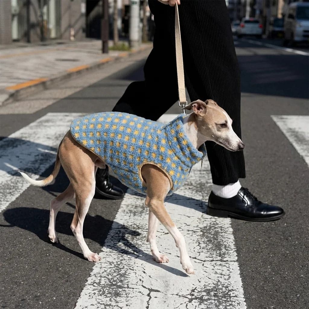 Pupé Webshop Mockup